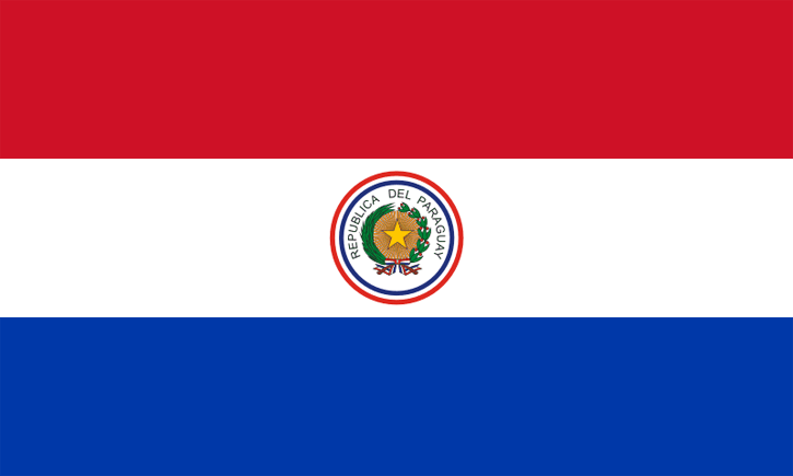 joaquin sabina, paraguay, 2011