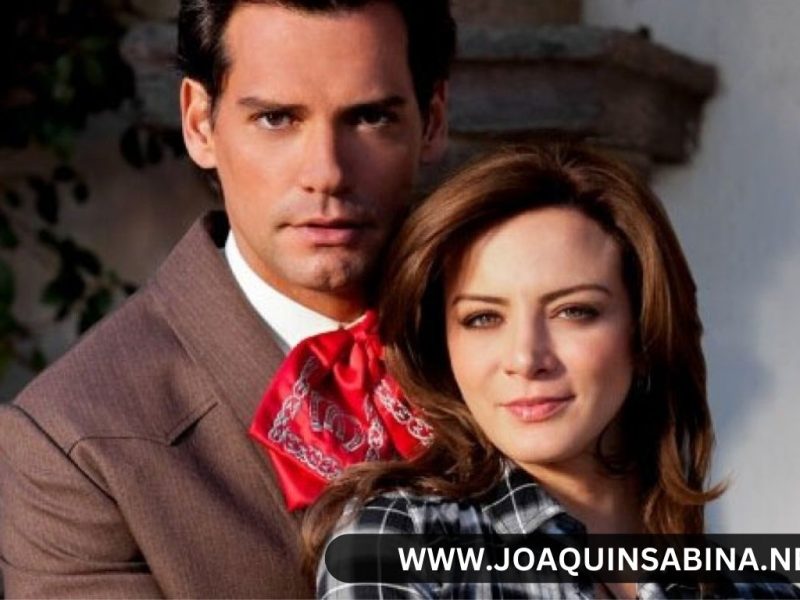 Silvia Navarro Todas Las Telenovelas En Las Que Participo